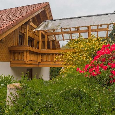 Haus Sigmund Apartment Oberharmersbach Luaran gambar