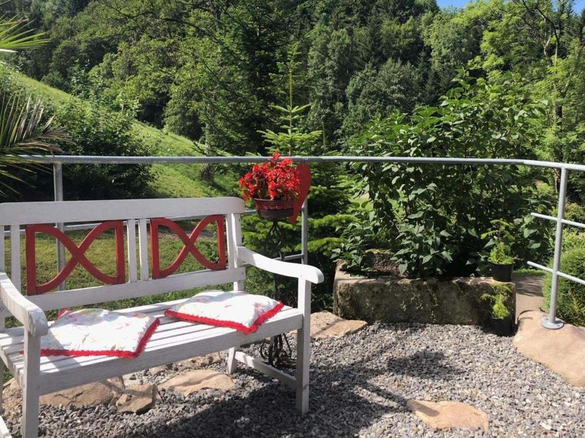 Haus Sigmund Apartment Oberharmersbach Luaran gambar