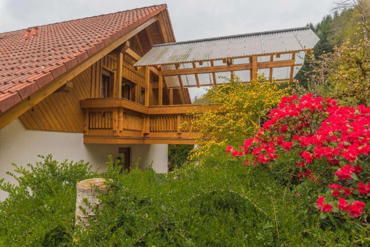 Haus Sigmund Apartment Oberharmersbach Luaran gambar